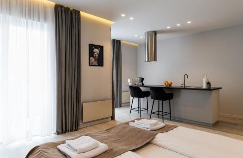 Uzhhorod Apartment | ММ GROUP APARTMENT