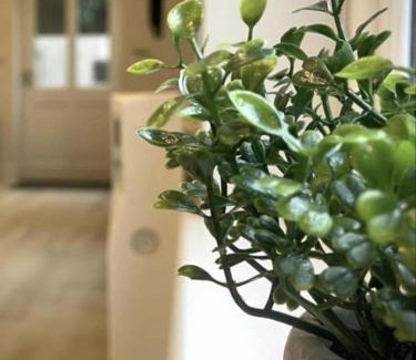 York Apartment | Moat View FREE PARKING, CENTRAL, EV PLUG