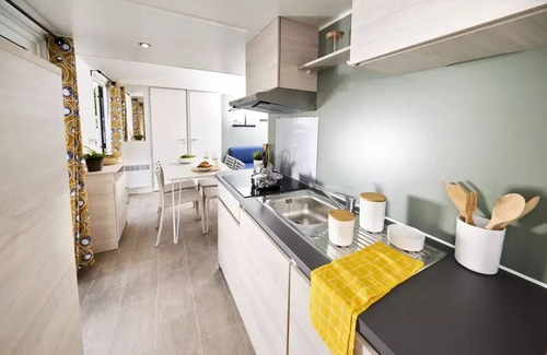 Saint-Cirq House | MOBILE-HOME COCOPAT, TV 4 Personen