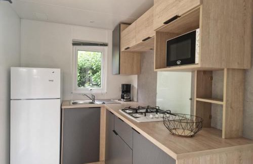 Saint-Antoine-de-Breuilh Apartment | Mobil-home 4pers avec terrasse