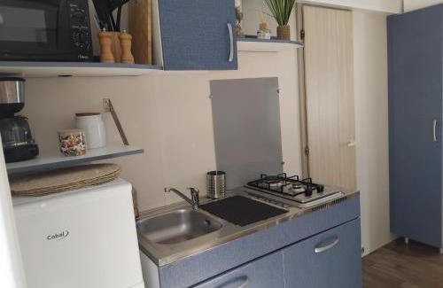 Boofzheim Apartment | Mobil-home à 11km d'Europa Park via le bac