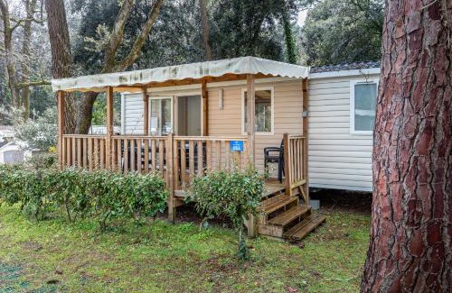 Les Conches Other | Mobil Home 151