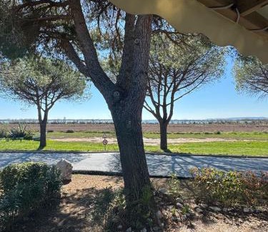 Lattes House | Mobile Home 450 4-6 pers Camping Siblu Le Lac des Rêves