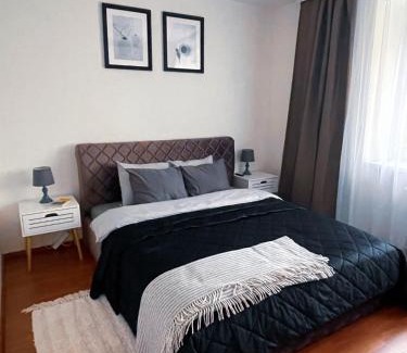 Druskininkai Apartment | Mocha Apartment