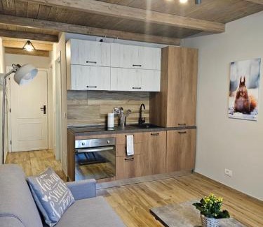 Sestriere Apartment | Moda Apartments 69
