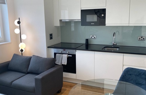 Fairfield Apartment | Modern 1 bedroom city apt- Central Stylish living