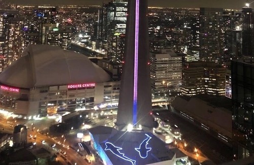 Central Waterfront Condo | Modern 1 bedroom Condo Downtown Toronto near Union station and Scotia Arena