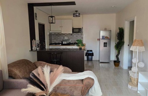 Georgetown Apartment | Modern 2-bedroom apartment in with WiFi, AC