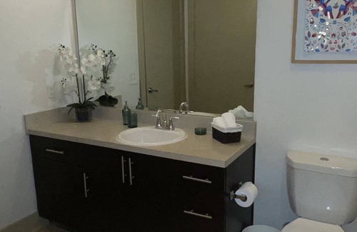 Lindridge-Martin Manor Apartment | Modern 2bd/2bath spacious Loft, in the heart of Midtown and Atlanta nightlife!