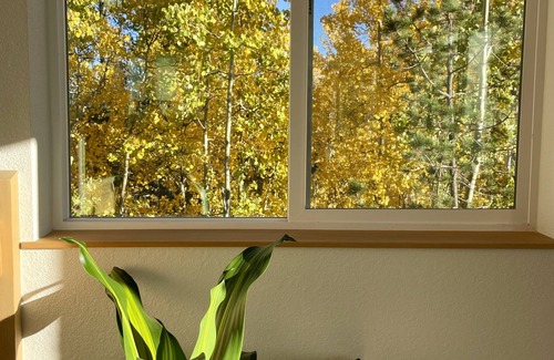 Alma House | Modern Alma Home ~ Walk to Main St. ~ 16 mi. to Breck! 5 mi to Kite Lake Trails
