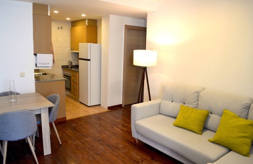 Esterri D'Aneu Apartment | Modern apartment with fireplace