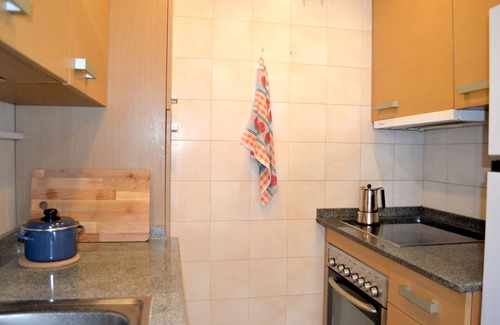 Esterri D'Aneu Apartment | Modern apartment with fireplace