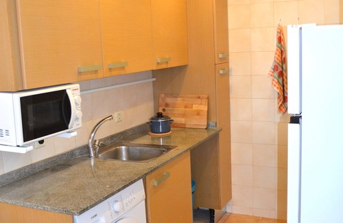 Esterri D'Aneu Apartment | Modern apartment with fireplace