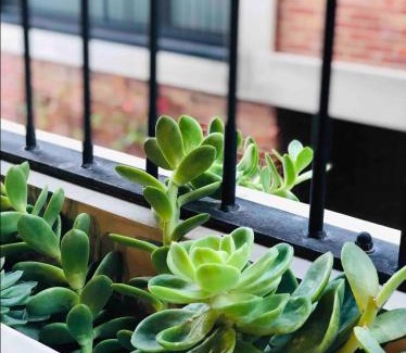 Fitzroy Apartment | Modern Apartment In Flawless Fitzroy+Carpark