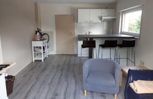 Schwalefeld Apartment | Modern apartment near Willingen with private terrace and use of garden