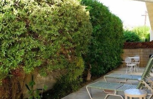 Historic Tennis Club Condo | Modern Condo In Historic Tennis Club District
