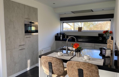 Biddinghuizen Ski Chalet | Modern eco-villa near the Veluwemeer