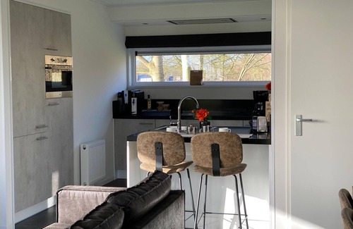 Biddinghuizen Ski Chalet | Modern eco-villa near the Veluwemeer