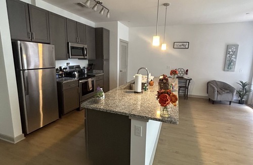 Downtown Richmond Apartment | Modern Gem in the Shockoe, mins to VCU