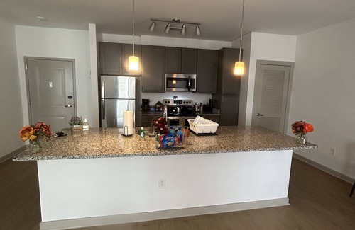 Downtown Richmond Apartment | Modern Gem in the Shockoe, mins to VCU