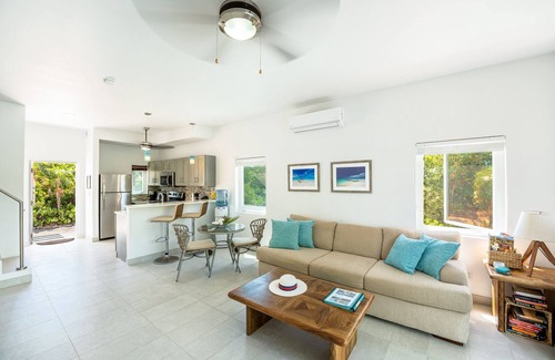 The Bight Villa | Modern Grace Bay villa with Pool 3 mins walk to Beach & Reef Sleeps 4 ,Gardens