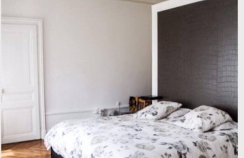 Besancon Apartment | Modern Haussmann apartment Besançon downtown 160m2