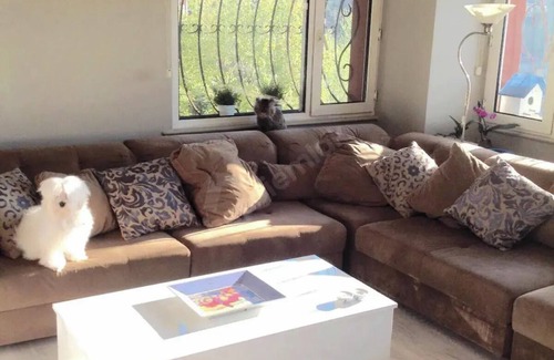 Sariyer House | Modern home in Maslak