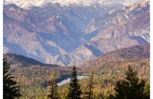 Hume House | Modern Lakeside Cabin in Sequoia Nat'l Forest - Near Hume Lake Christian Camp