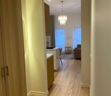 Marijampole Apartment | Modern Loft Apartment with free parking No4