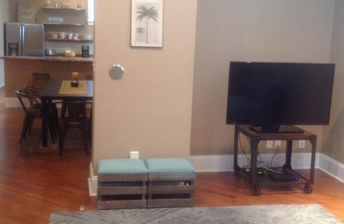 Tower Grove East Apartment | Modern, Loft-like unit in the Historic Tower Grove Area