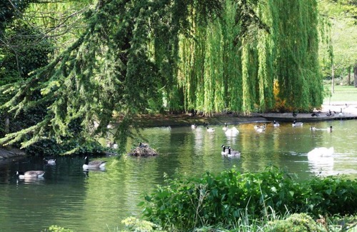 Ravenscourt Park Apartment | Modern Lower Ground Three Bedroom Apartment in Hammersmith