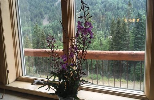 Taos Ski Valley Condo | Modern Mountain Hideaway