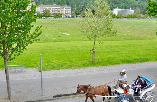 Central Interlaken Apartment | Modern NEW apartment overlooking Hohematte Park