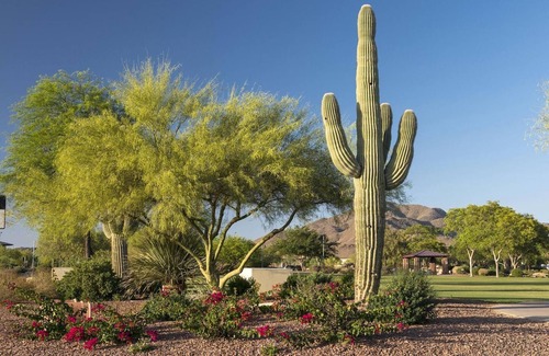 Anthem East Side Condo | Modern Resort Retreat in Anthem AZ