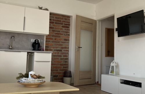 Ostrava Apartment | Modern room in Ostrava