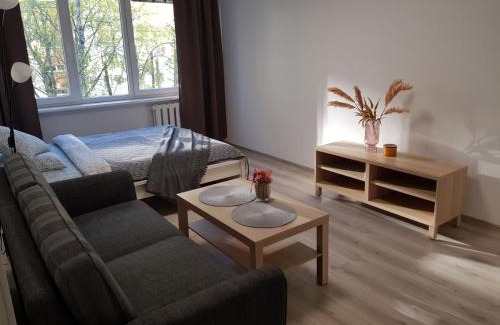 Klaipeda Apartment | Modern studio Naujakiemio, Self-Check-In, Free Parking