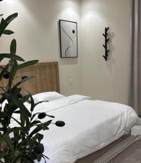 Al Faisaliyah Apartment | Modern studio