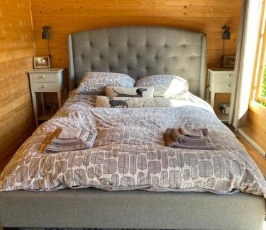 New Forest District House | Modern Summerhouse