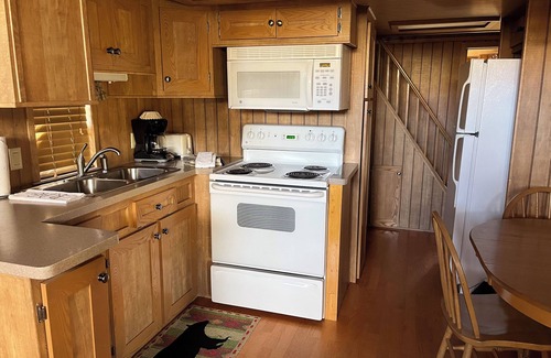 Almont Cabin | Modern "Tiny Home" Style Cabin on Taylor River with Private Fishing Access