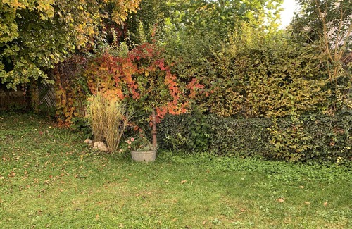 Uhldingen-Muehlhofen Apartment | Modern & top equipped apartment with private garden