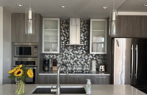 Harris Green Condo | Modern west coast designed condo with secured parking
