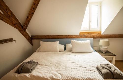 Old City of Bern Apartment | Moderne Altbauwohnung im Zentrum von Bern mit Wellness