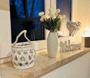 Plauen Apartment | moderne Ferienwohnung am Stadtwald von Plauen