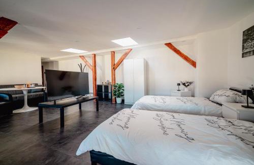 Sudenburg Apartment | Moderner Altbau für 3