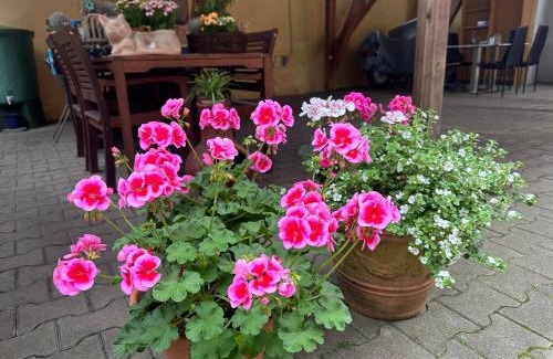 Werne Apartment | Modernes Apartment 5 , 6 und 7 in Bochum