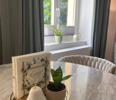 Strehlen Apartment | Modernes Apartment mit großer Terrasse