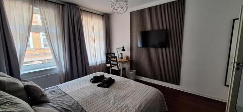 Altlindenau House | modernes Einraumzimmer mit eigenem Bad, Balkonnutzung, zentrumsnah - In 10 Minuten mit dem Rad oder dem ÖPNV zur Arena und in Leipzigs Innenstadt