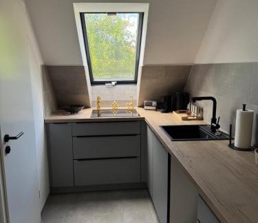 Norsingen Apartment | Modernes Loft am Rebberg im historischen Winzerhof