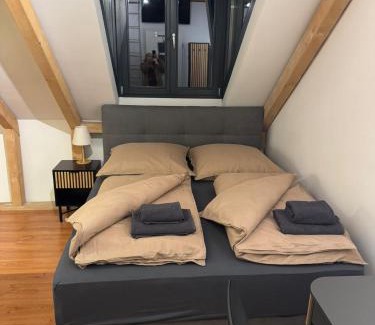 Villingen-Schwenningen House | Modernes und helles Apartment VS