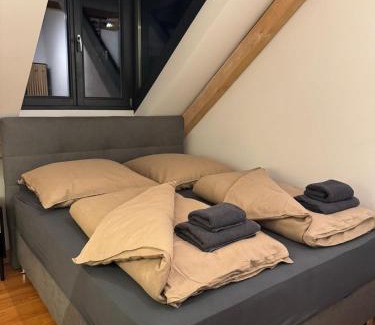 Villingen-Schwenningen House | Modernes und helles Apartment VS